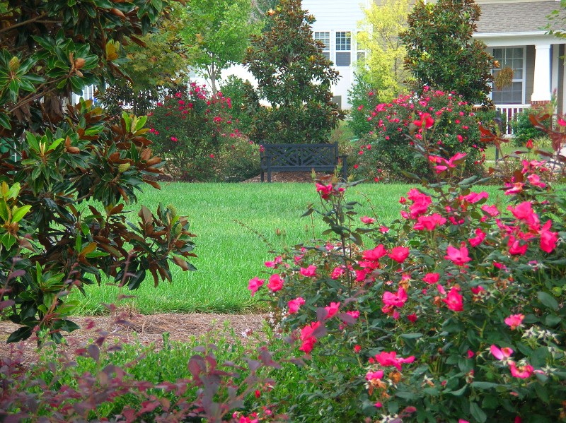 Tree & Shrubs, Blue Park Bench 