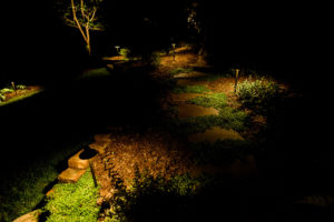 Hyatt-landscape lighting