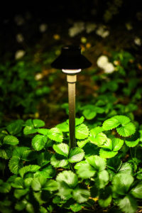 one inground light surrounded by greenery hyatt landscaping
