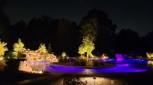 backyard pool with trees inground lighting night sky behind