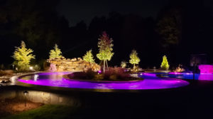 backyard pool with inground lighting purples and blues trees and plants all around